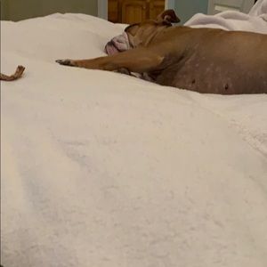 Meet your Posher, Ces